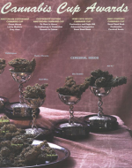 Screen Shot 2016-11-17 at 11_56_27 AM.png