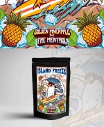 Layout penguin island freeze.jpg