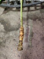 IMG_20211215_162250371.jpg IMG_20211215_162250371.jpg