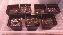 Screenshot from 2021-12-18 14-04-17.png