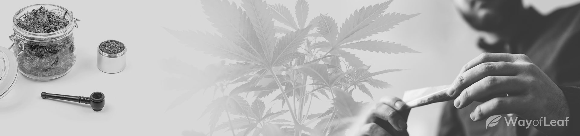 wayofleaf.com