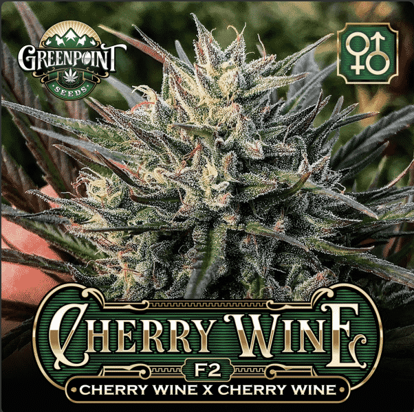 greenpointseeds.com