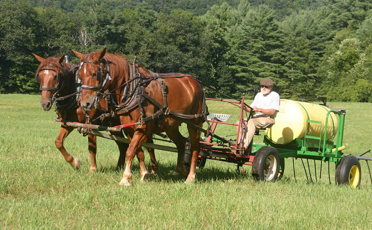 modernfarmer.com