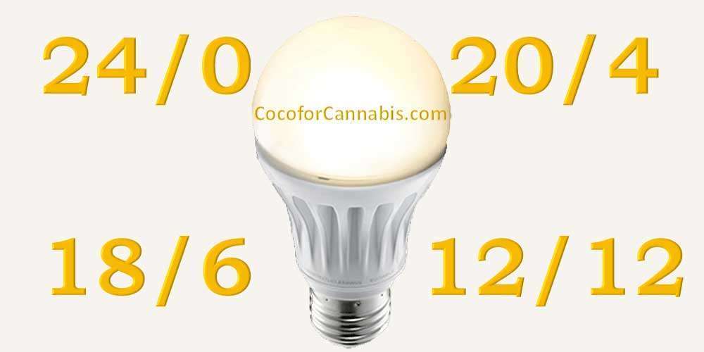 www.cocoforcannabis.com