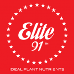 elite91.com