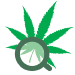 cannabisreports.org