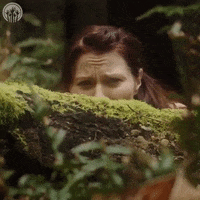 Shocked Surprise GIF by zoefannet