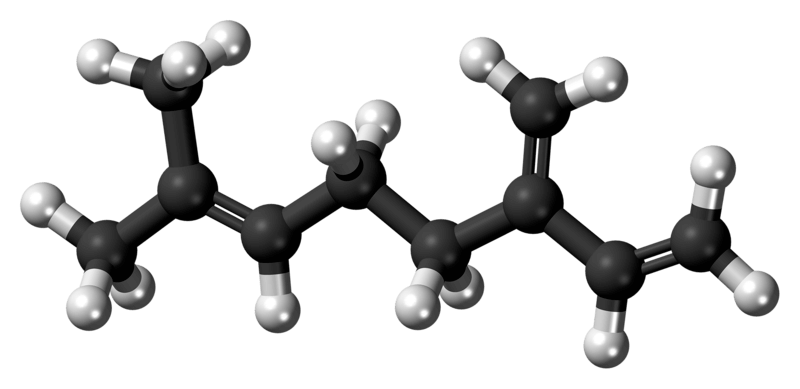 Myrcene molecule