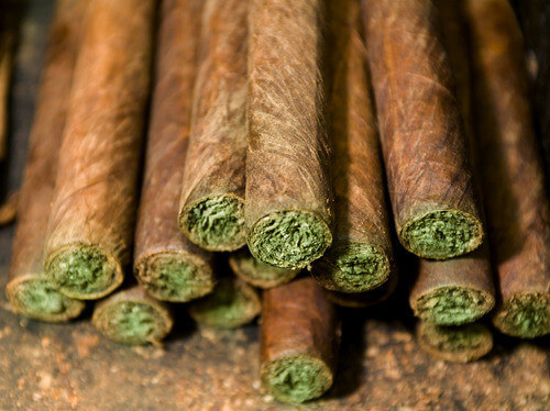 Properly rolled and ready to use blunts
