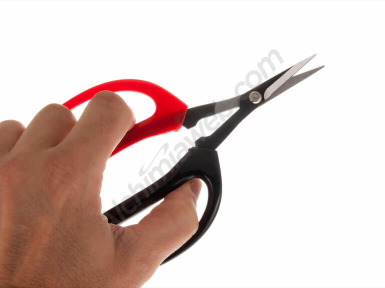 Precision Bonzai scissors