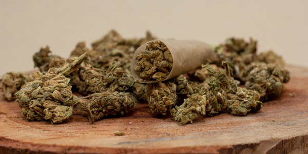 Brow marijuana buds on a wooden table