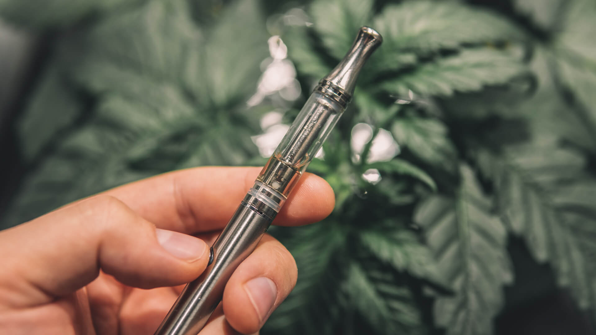 A hand holding a vape pen with a cannabis plant in the background